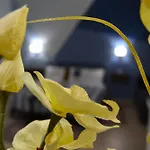 Casa Grazia - - *