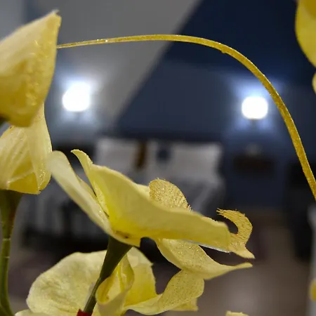 Casa Grazia - - *